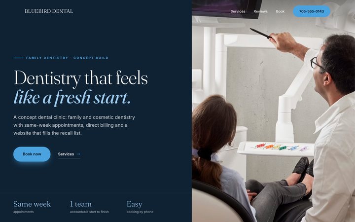 Bluebird Dental Studio — concept website by Jobaki